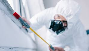 Best Commercial Pest Control  in Bayou Vista, LA